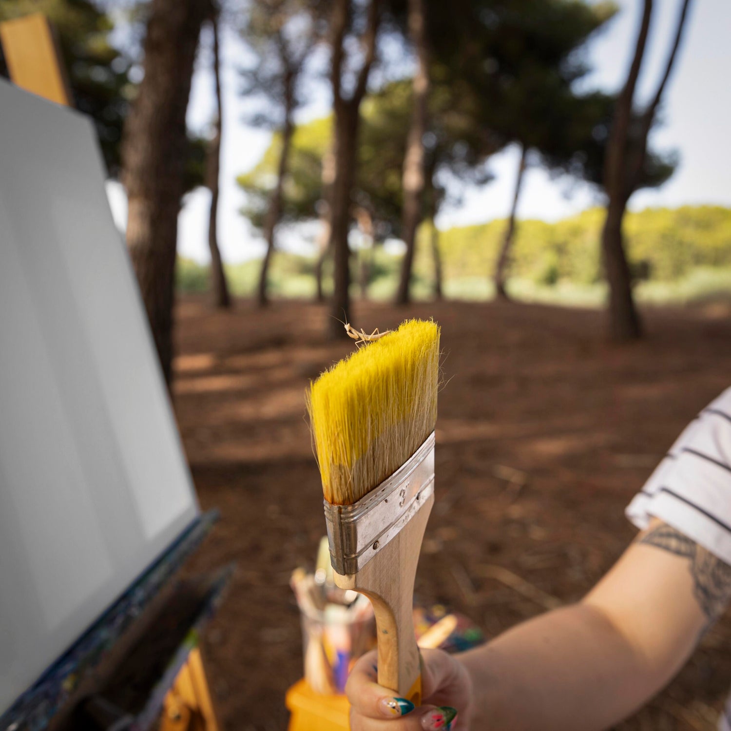 Cómo pintar una furgoneta camper por dentro y por fuera