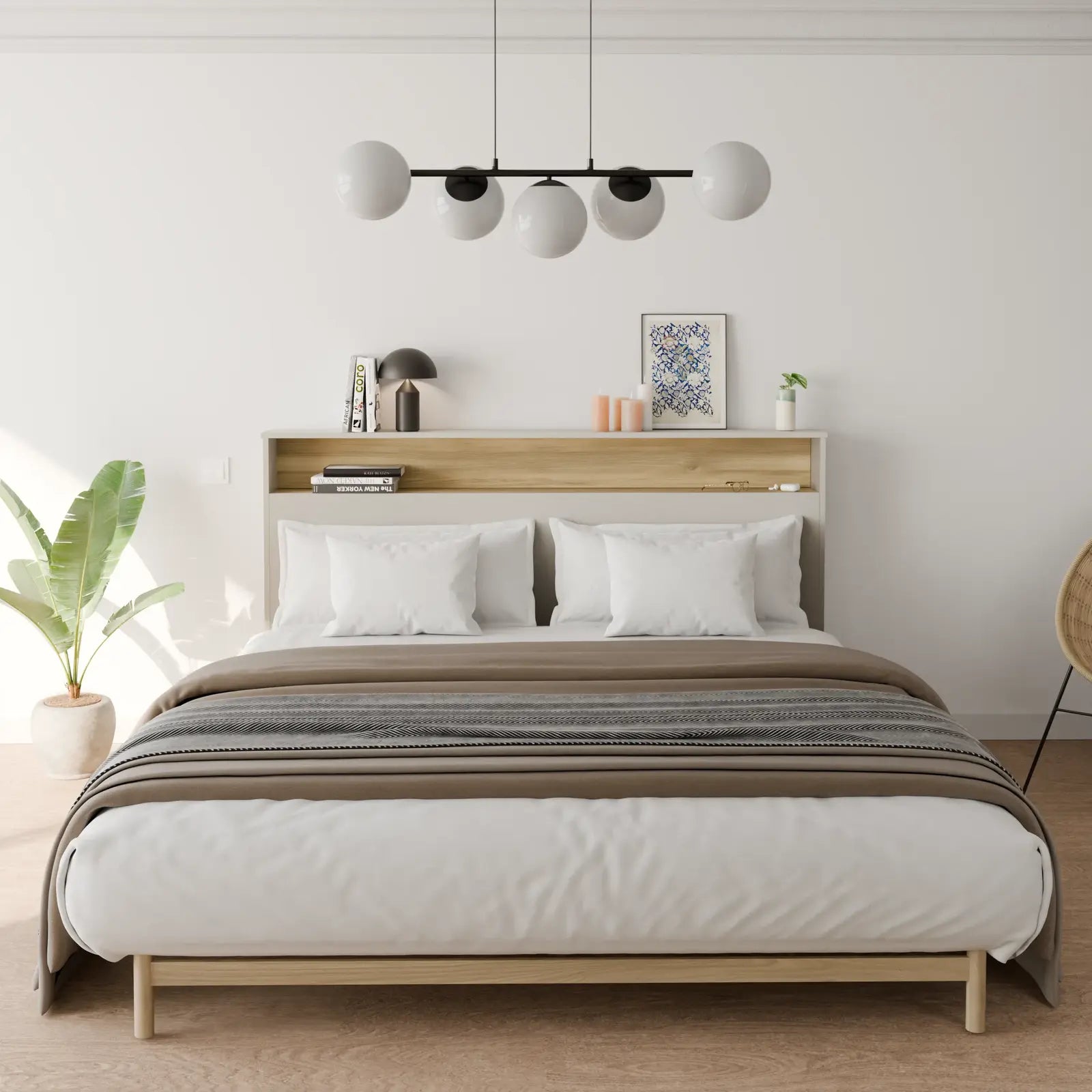 OASIS C1 GRIS