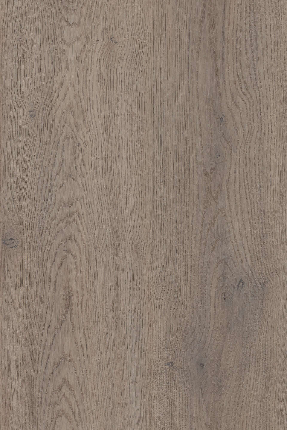 Muestra melamina color Roble Cannolo